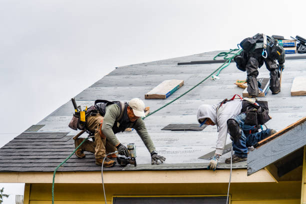 Professional Roof Installation technician working in East Bethany, NY